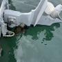 thumbnail.php?w=220&h=165&f=boat_590_other_photo_02.jpg