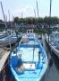 thumbnail.php?w=220&h=165&f=boat_591_exterior_photo_01.jpg